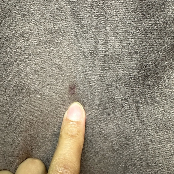 Bluenotes Velour Sweatpants sz S - Picture 4 of 6